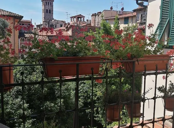 Evelina * Lucca