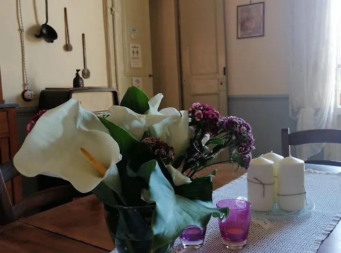 Evelina Bed & Breakfast