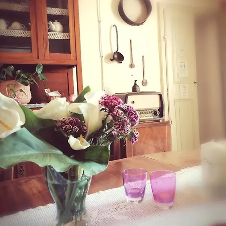 Bed & Breakfast Evelina *