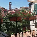 Evelina * Lucca